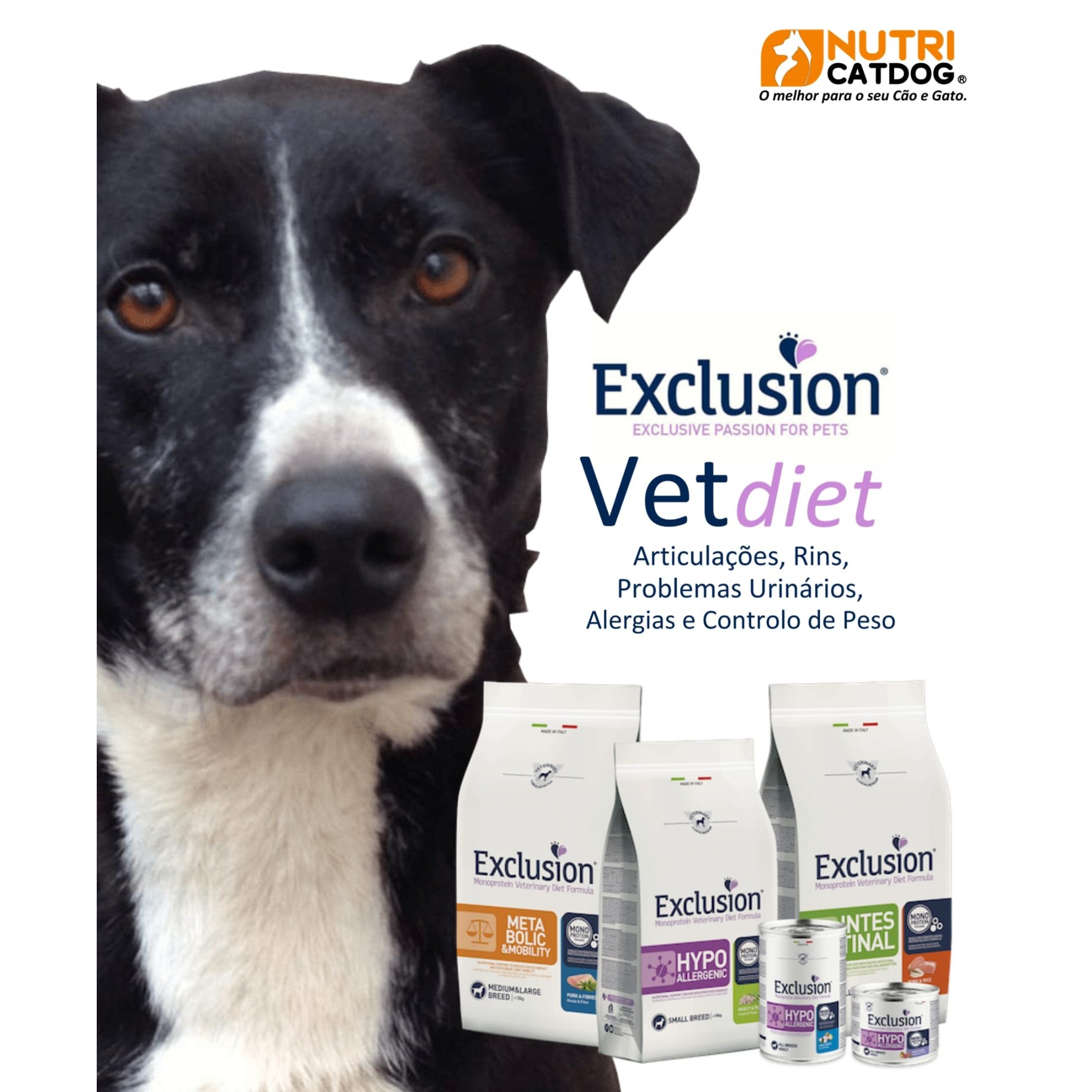 Exclusion - Diet Hypoallergenic Adult Medium Large Breed al Pesce e Patate  da 12 Kg - Animals' Passion